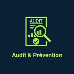 Audit et prévention.png